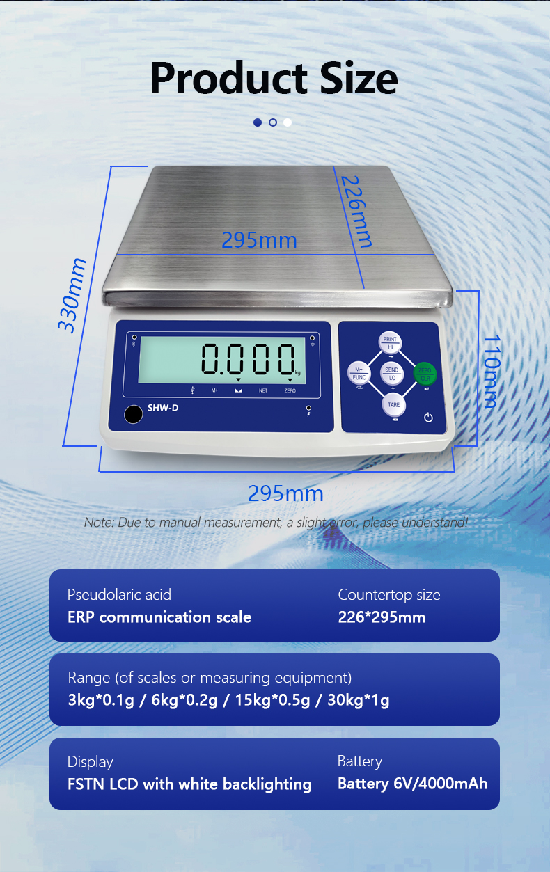 SHWDL-485 6KG Modbus 485 Communication LCD Display AC/DC Power Supply for ERP Software
