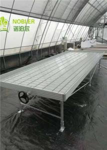 Quality Galvanized Greenhouse Grow Beds wholesale