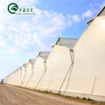 Commercial Film Covered Single Tunnel Greenhouse for Maximizing Agricultural
