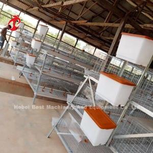 Quality Galvanized Layers Chicken Cages Capacity 96/120/128/160/200 Equipment Doris wholesale