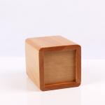 Square shaped Beech wooden pen holder