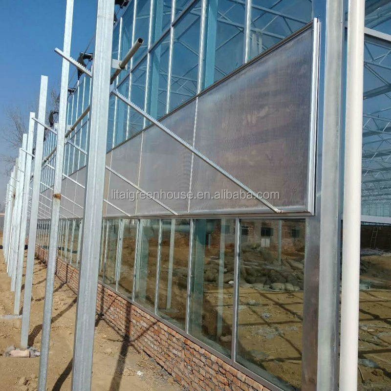 Smart Controlled Safe Glass Greenhouse for Vegetable Fruits Flowers Top Height 4.8m-6.8m