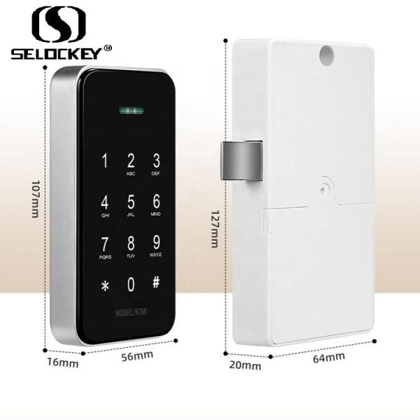 Cheap Electronic Mini Combination Drawer Shoe Cabinet Fingerprint Cabinet Locks for sale
