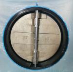DN80 DI Stainless Steel jis 10k pn16 bs din swing Stop Spring Duo Dual check