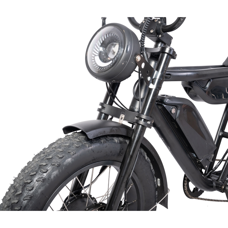 Retro Ebike Cruiser Dual Battery Enduro 7 Speed 48V 1000W Electric Fat Tire Bike