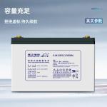 Leoch Battery DJM1280S 12V80Ah for UPS Communication Solar Energy Storage Power