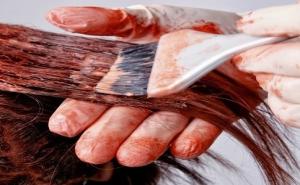 Quality Soft Powder Free Vinyl Gloves Latex Free Disposable Vinyl Gloves Medium wholesale