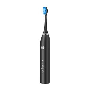 Quality Antibacterial Electric Sonic Toothbrush Automatic IPX7 Waterproof wholesale