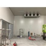 Freon Refrigerant Cold Room Freezer and Cooler Room with 10 Years After-sales