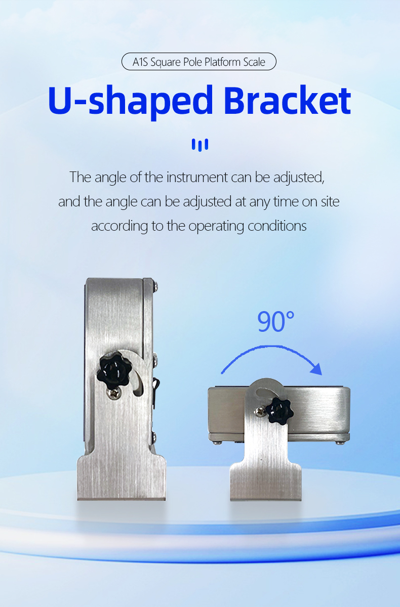 Power Supply 10.5V/1A 200KG Stainless Steel Scale for Seafood and Food Factories