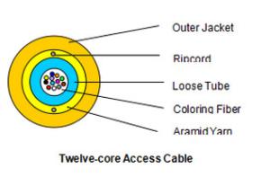 Quality Twelve-core Access Cable wholesale