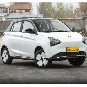 Quality CLTC Range Up To 335 Km Low Consumption Pure Electric Car Joy 01 High Speed Car wholesale