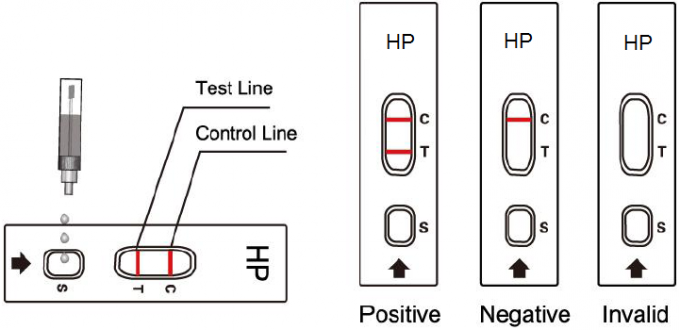 One Step H. Pylori Antigen Detection Test Kit 30 Minutes