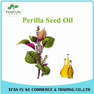 Wholesale Chinese Traditional Herbal Extract Perilla Fretescens Oil Extraction