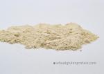 Aquatic Feed Add Nutrition HACCP Dried Wheat Gluten