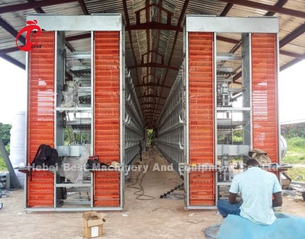 Cheap Type Hot Dip Layer Cages Cameroon Chicken Farm Poultry Layer Cages For Sell Adela