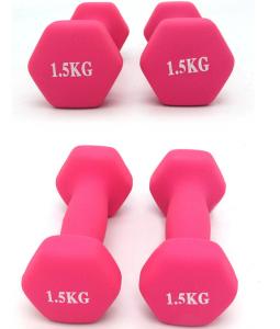 Quality Women Fitness Aerobic Exercise dumbbell charm Dumbbells Gym Neoprene Iron Dumbbells wholesale