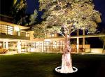 LED Tree Lighting Garden Villa Landscape Courtyard Lawn Light Projection Outdoor