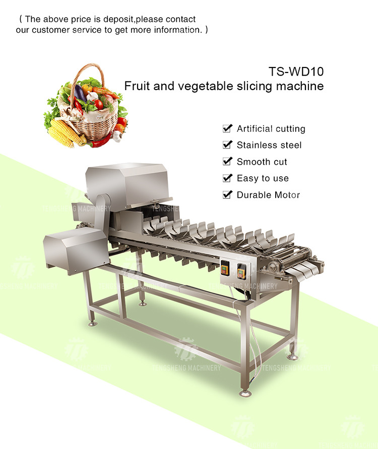 380V 150KG Luffa pumpkin asparagus cucumber lettuce bitter melon slicing machine specifications can be fixed