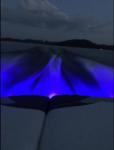 Portable 12V Blue Emitting Marine Underwater LED Lights For Boats