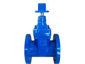 Quality (ANSI) Cast Iron Gate Valve Flanged Ends wholesale