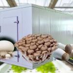 High Humidity Vertical Farming Hydroponic Container Greenhouse For Vegetables