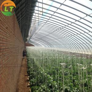 Quality Environmentally Friendly Solar Agricultural Greenhouse with Greenhouse Benches wholesale