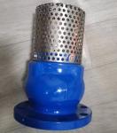 GGG50 H42X cast iron flanged foot valve manufacturer in China