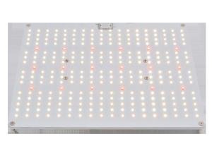 Quality Igrowbio 100W Full Spectrum LED Grow Lights wholesale