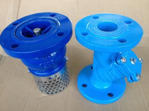 Quality 805-F DIN DUCTILE IRON Y STRAINER FLANGED ENDS wholesale