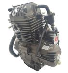 LF Wolf 250cc Motorcycle Engine Water Cooled 4 Stroke Engine for Superior