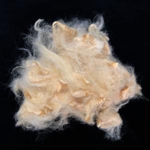 Quality 1.5D×38mm Soybean Protein Fiber Antibacterial For Textile Industry wholesale