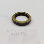 Excavator Parts Oil Seal 4613831 for Hitachi ZX180 ZX200 ZX210 Travel Motor Seal