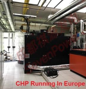 Quality Continuous 50Hz 100KW Natural Gas Generator wholesale