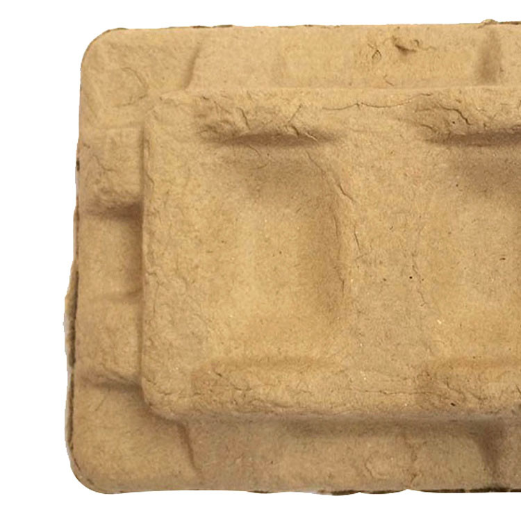 Recyclable Moulded Pulp Tray Biodegradable Thermoformed Paper Trays