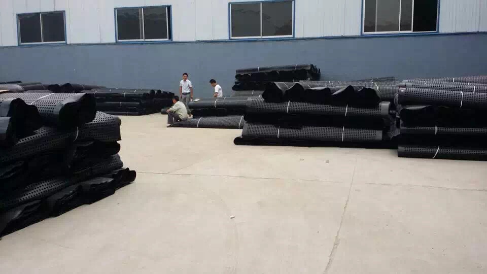 Green Roof System HDPE Drainage Board and Dimple Membrane for Construction Waterproof