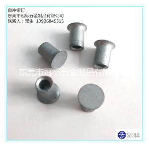 Quality High Strength Self Penetrating Rivets JIS Standard 5.3x6mm 5.3x7mm 5.3x8mm wholesale