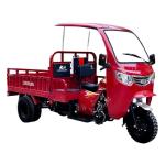 Cabin DAYANG Motorized Adult Passenger Cargo Tricycle 3 Wheel Bike Taxi Tuk Tuk