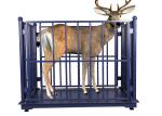 3000kg Livestock Scales For Cattle , 60HZ Sheep Weighing Scales