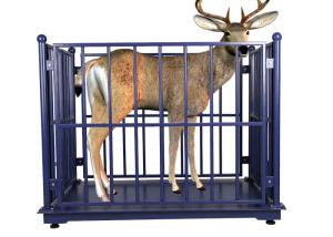 Quality 3000kg Livestock Scales For Cattle , 60HZ Sheep Weighing Scales wholesale