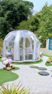 Quality 3m Clear Bubble Tents Restaurant Outdoor Transparent Bubble Dome With LED Light wholesale