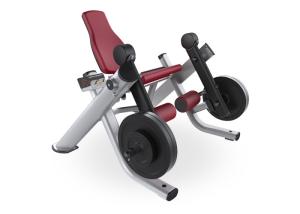 Quality Commercial Plate Loaded Gym Machines Promote Biomechanics Balance wholesale