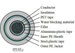 HYA53 CAT LAN Cable