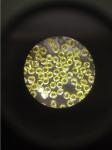 Coarse Synthetic Monocrystalline Diamond CSD Series For Polishing / Grinding
