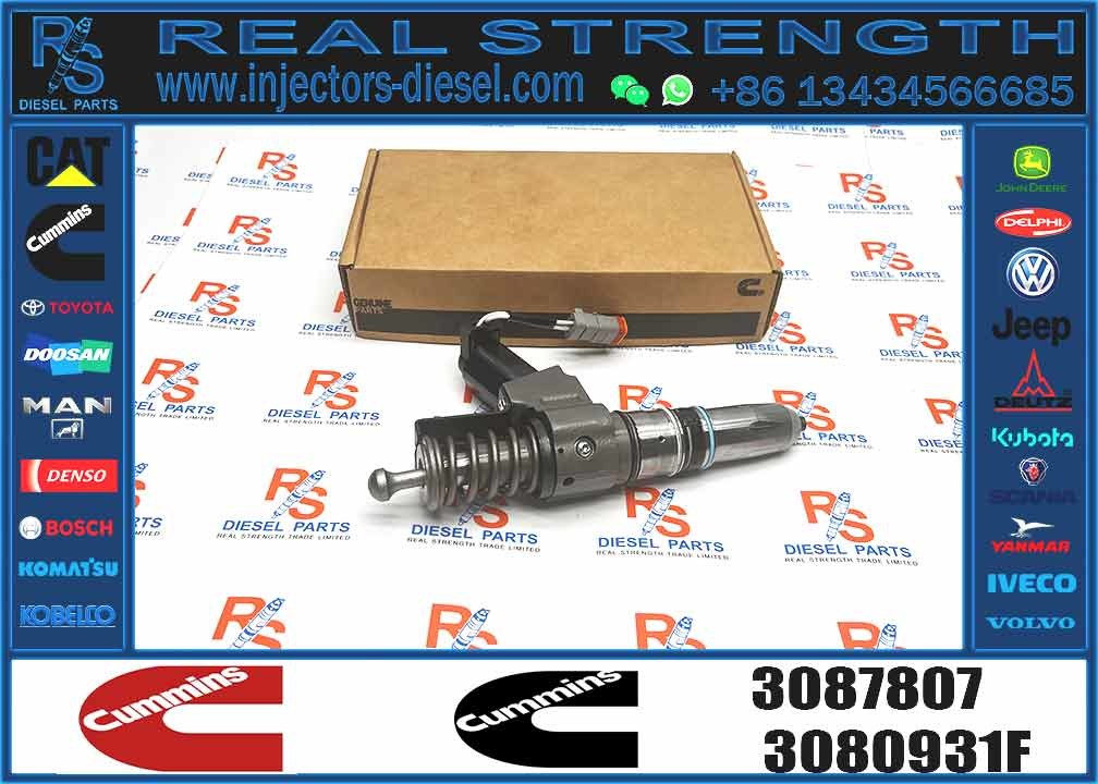 N14 Common Rail Fuel Injector 4307516N 3411767T 3407776 3087807 341176