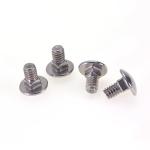 Non-Standard Stainless Steel Square Neck Bolt with Mirror Polished Finish