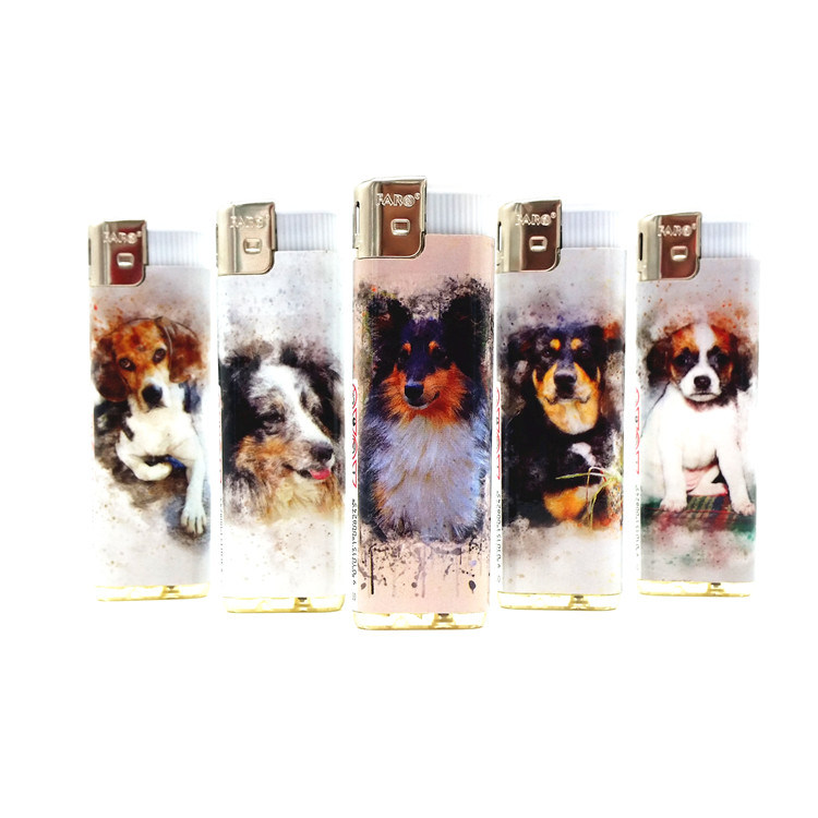 Disposable Plastic Wholesale Electronic Petrol Cigarette Lighter