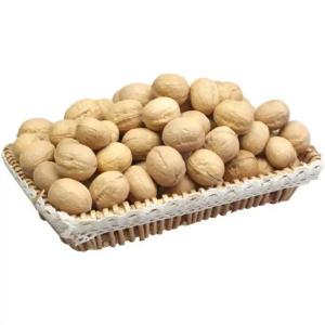 Quality China walnuts Factory Supplier Wholesale Healthy inshell Organic walnuts Food with Walnuts kenrel wholesale