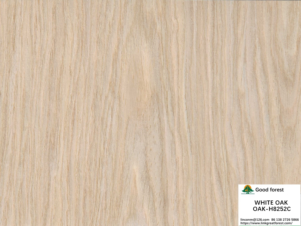 Decoration Artificial Wood Veneer White Oak Flat Cut H8252C Light Yellow Color