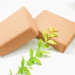 4" X 6" X 9" Large Lean Cork Yoga Block Bricks Lightweight